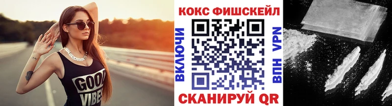 Купить где  Горно-Алтайск  Кокаин Fish Scale 