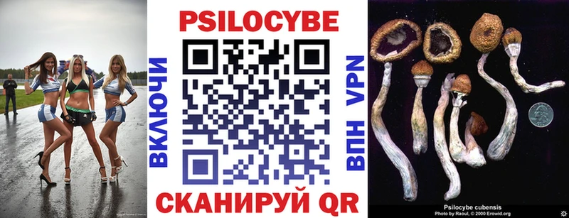 Купить закладки  Горно-Алтайск  Галлюциногенные грибы Cubensis 